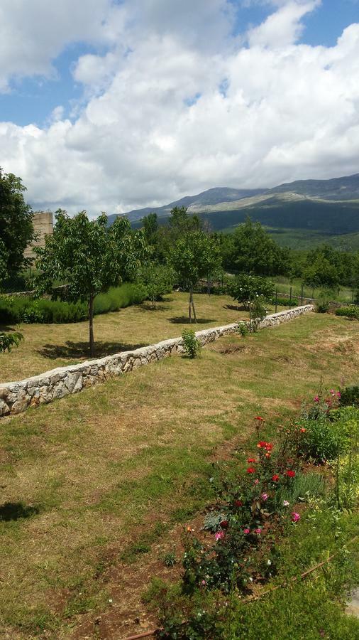 Villa Cetina Milasi المظهر الخارجي الصورة